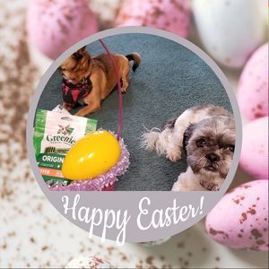 Meet your Posher, Shannon